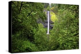 Latourell Falls, in Columbia River Gorge National Scenic Area, Oregon-Craig Tuttle-Stretched Canvas