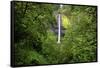 Latourell Falls, in Columbia River Gorge National Scenic Area, Oregon-Craig Tuttle-Framed Stretched Canvas