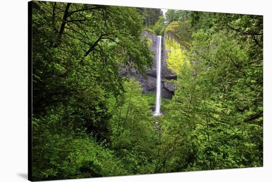 Latourell Falls, in Columbia River Gorge National Scenic Area, Oregon-Craig Tuttle-Stretched Canvas