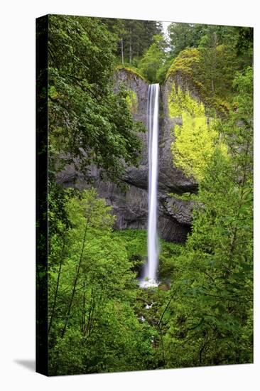 Latourell Falls, in Columbia River Gorge National Scenic Area, Oregon-Craig Tuttle-Stretched Canvas