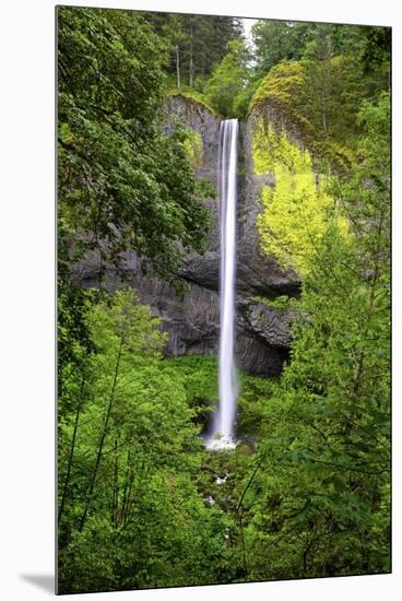 Latourell Falls, in Columbia River Gorge National Scenic Area, Oregon-Craig Tuttle-Mounted Premium Photographic Print