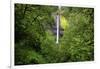 Latourell Falls, in Columbia River Gorge National Scenic Area, Oregon-Craig Tuttle-Framed Photographic Print