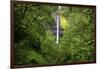 Latourell Falls, in Columbia River Gorge National Scenic Area, Oregon-Craig Tuttle-Framed Photographic Print