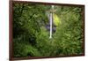 Latourell Falls, in Columbia River Gorge National Scenic Area, Oregon-Craig Tuttle-Framed Photographic Print