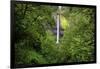 Latourell Falls, in Columbia River Gorge National Scenic Area, Oregon-Craig Tuttle-Framed Photographic Print