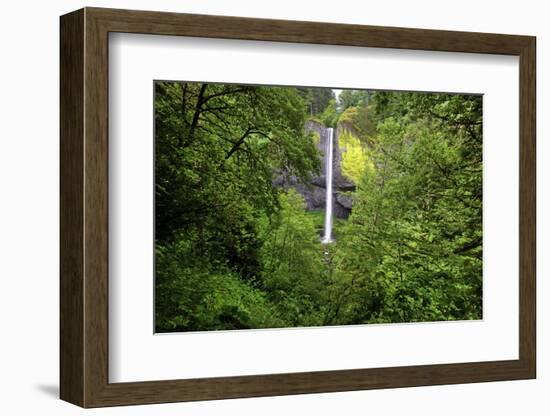 Latourell Falls, in Columbia River Gorge National Scenic Area, Oregon-Craig Tuttle-Framed Photographic Print