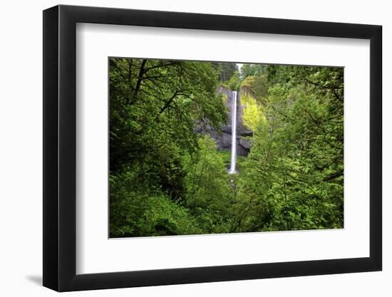 Latourell Falls, in Columbia River Gorge National Scenic Area, Oregon-Craig Tuttle-Framed Photographic Print