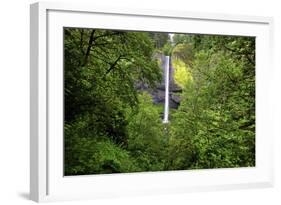 Latourell Falls, in Columbia River Gorge National Scenic Area, Oregon-Craig Tuttle-Framed Photographic Print