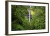 Latourell Falls, in Columbia River Gorge National Scenic Area, Oregon-Craig Tuttle-Framed Photographic Print