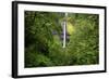 Latourell Falls, in Columbia River Gorge National Scenic Area, Oregon-Craig Tuttle-Framed Photographic Print