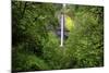 Latourell Falls, in Columbia River Gorge National Scenic Area, Oregon-Craig Tuttle-Mounted Photographic Print