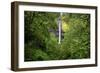 Latourell Falls, in Columbia River Gorge National Scenic Area, Oregon-Craig Tuttle-Framed Photographic Print