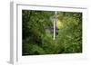 Latourell Falls, in Columbia River Gorge National Scenic Area, Oregon-Craig Tuttle-Framed Photographic Print