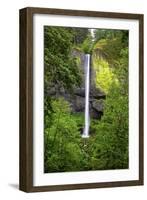 Latourell Falls, in Columbia River Gorge National Scenic Area, Oregon-Craig Tuttle-Framed Photographic Print