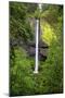 Latourell Falls, in Columbia River Gorge National Scenic Area, Oregon-Craig Tuttle-Mounted Photographic Print