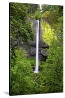 Latourell Falls, in Columbia River Gorge National Scenic Area, Oregon-Craig Tuttle-Stretched Canvas