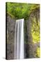 Latourell Falls-Douglas Taylor-Stretched Canvas