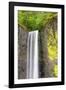 Latourell Falls-Douglas Taylor-Framed Photographic Print