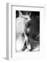 Lattesa-Roberta Nozza-Framed Photographic Print