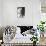 Lattesa-Roberta Nozza-Photographic Print displayed on a wall