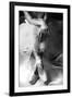 Lattesa-Roberta Nozza-Framed Photographic Print