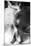 Lattesa-Roberta Nozza-Mounted Photographic Print