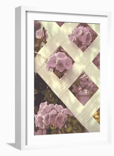 Lattice-Mindy Sommers-Framed Giclee Print