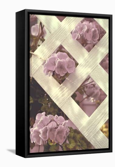 Lattice-Mindy Sommers-Framed Stretched Canvas