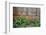 Latticed windows of an old house on Ziyang street in the old town, Linhai, Zhejiang Province, China-Keren Su-Framed Photographic Print