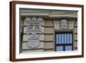 Brown Frame