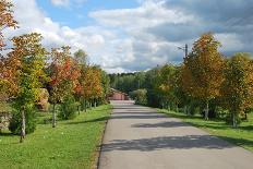 Road through Autamn Forest-laufer-Stretched Canvas