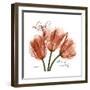 Laugh Tulips-Albert Koetsier-Framed Premium Giclee Print