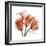 Laugh Tulips-Albert Koetsier-Framed Premium Giclee Print