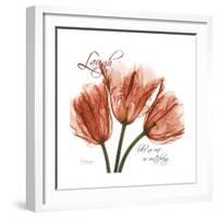 Laugh Tulips-Albert Koetsier-Framed Premium Giclee Print