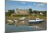 Laugharne Castle, Carmarthenshire, Wales, United Kingdom, Europe-Billy Stock-Mounted Photographic Print