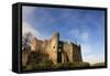 Laugharne Castle, Pembrokeshire, Wales, United Kingdom, Europe-David Pickford-Framed Stretched Canvas