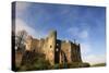 Laugharne Castle, Pembrokeshire, Wales, United Kingdom, Europe-David Pickford-Stretched Canvas