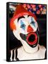 Laughing Clowns Side-Show, Rotorua, Bay of Plenty, North Island, New Zealand-David Wall-Framed Stretched Canvas