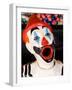 Laughing Clowns Side-Show, Rotorua, Bay of Plenty, North Island, New Zealand-David Wall-Framed Photographic Print