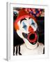 Laughing Clowns Side-Show, Rotorua, Bay of Plenty, North Island, New Zealand-David Wall-Framed Photographic Print