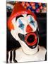 Laughing Clowns Side-Show, Rotorua, Bay of Plenty, North Island, New Zealand-David Wall-Mounted Photographic Print