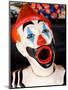 Laughing Clowns Side-Show, Rotorua, Bay of Plenty, North Island, New Zealand-David Wall-Mounted Photographic Print