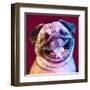 Laughing Dog-Enrico Varrasso-Framed Art Print