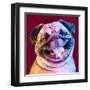 Laughing Dog-Enrico Varrasso-Framed Art Print