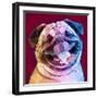 Laughing Dog-Enrico Varrasso-Framed Art Print