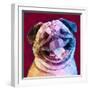 Laughing Dog-Enrico Varrasso-Framed Art Print