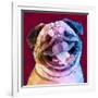 Laughing Dog-Enrico Varrasso-Framed Art Print