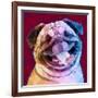 Laughing Dog-Enrico Varrasso-Framed Art Print