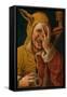 Laughing Fool, C.1500-Jacob Cornelisz van Oostsanen-Framed Stretched Canvas