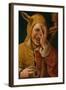 Laughing Fool, C.1500-Jacob Cornelisz van Oostsanen-Framed Giclee Print